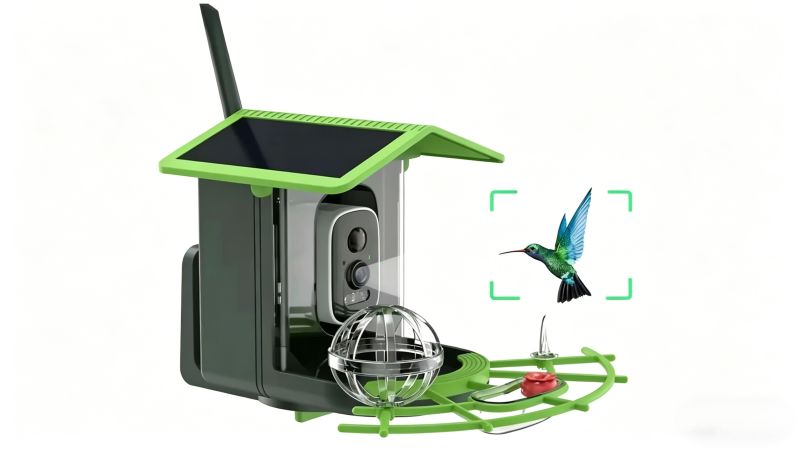 AI Bird Feeder Cameras Solar-Powered