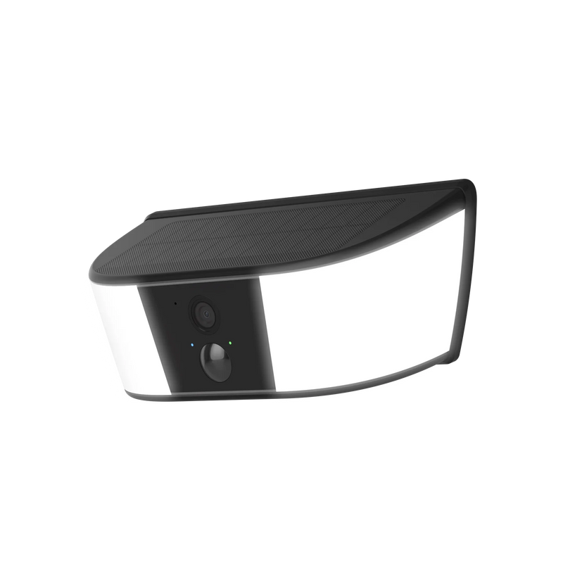 Floodlight Security Cameras 2-in-1