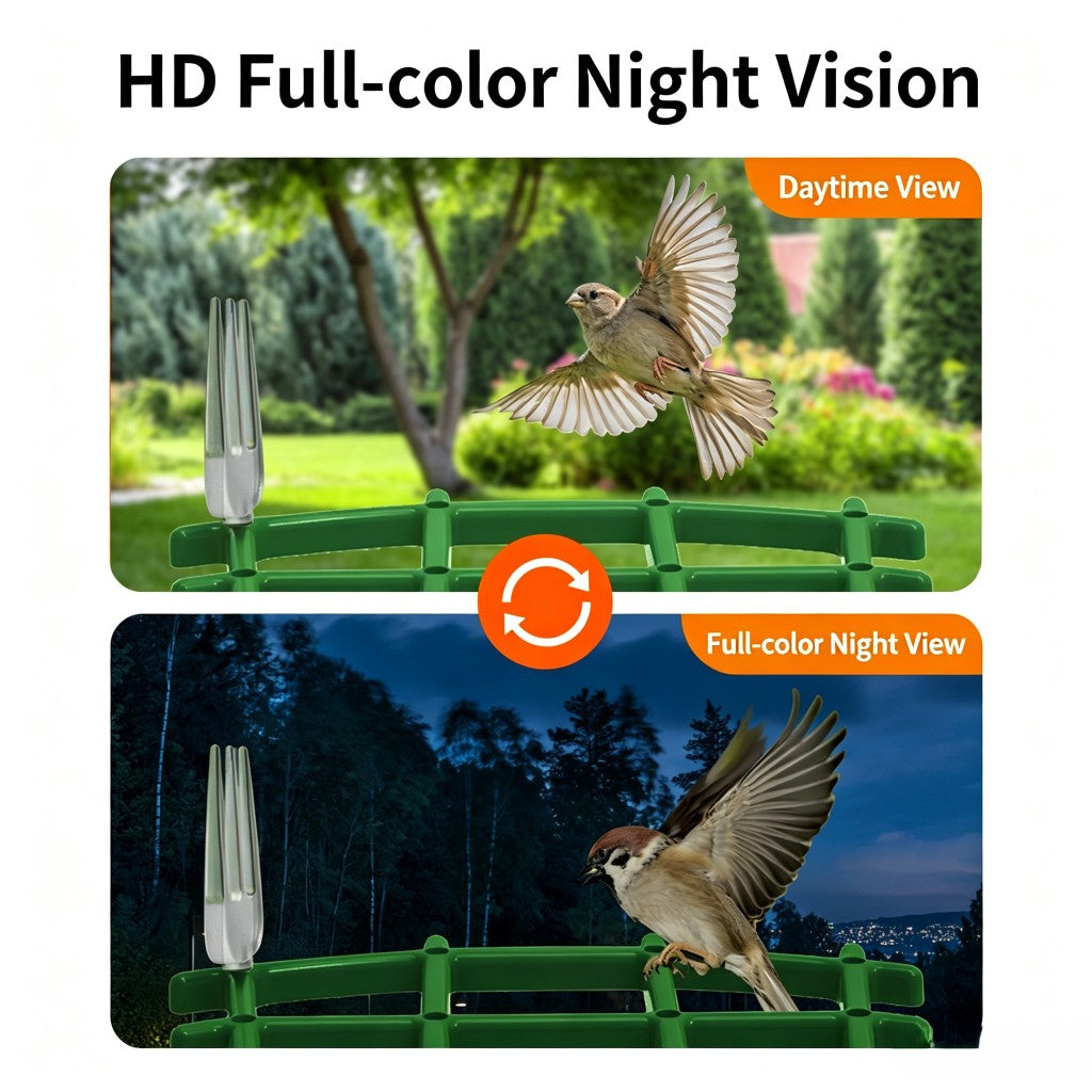 HoweYi BFC300 AI Smart Bird Feeder Camera with Solar Power Full Color Night Vision