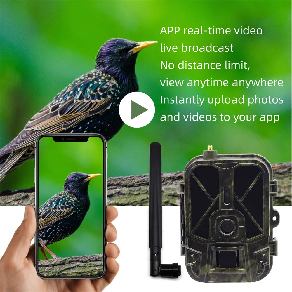 HY-TC800 4G LTE Cellular Trail Camera - 4K Video & 36MP AI Wildlife Camera