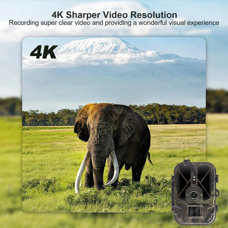 HY-TC800 4G LTE Cellular Trail Camera - 4K Video & 36MP AI Wildlife Camera
