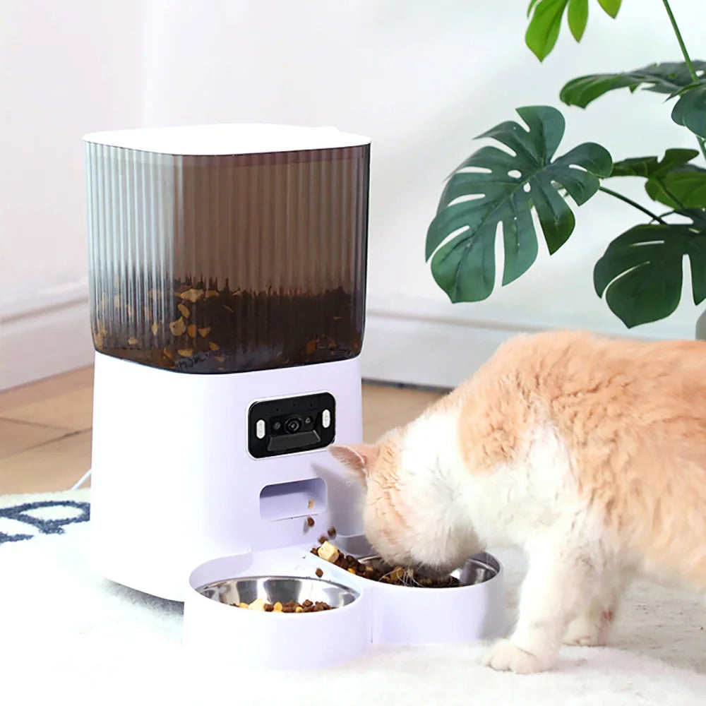 HoweYi HY-PM-F200-DB feeder in living room with cat eating