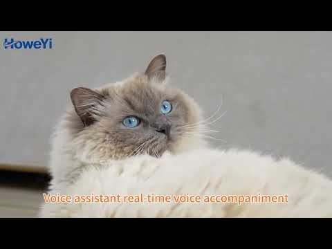 PF4 Haustierfutterautomat-Kamera